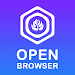 OPEN BROWSER